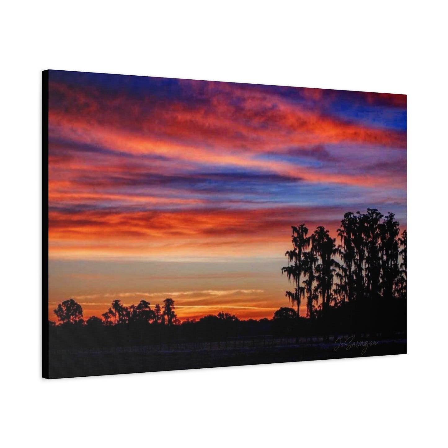 Treetop Silhouette Canvas
