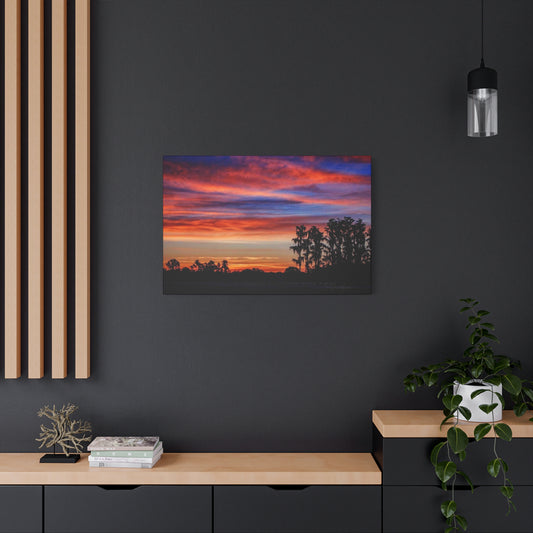 Treetop Silhouette Canvas